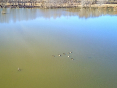 Browning IL Waterfowl Hunting Farm Land For Sale at Auction - image 8