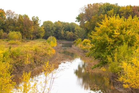 Browning IL Waterfowl Hunting Farm Land For Sale at Auction - image 14