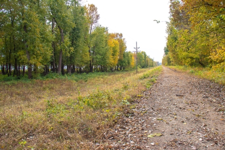 Browning IL Waterfowl Hunting Farm Land For Sale at Auction - image 4