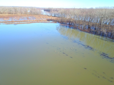 Browning IL Waterfowl Hunting Farm Land For Sale at Auction - image 6