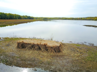 Browning IL Waterfowl Hunting Farm Land For Sale at Auction - image 26