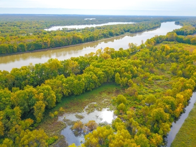 Browning IL Waterfowl Hunting Farm Land For Sale at Auction - image 17