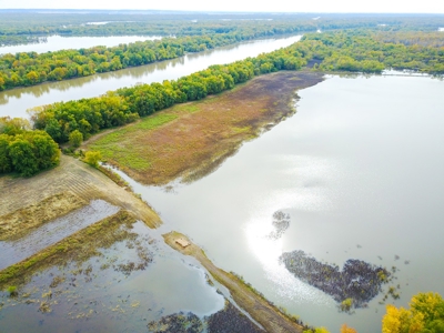 Browning IL Waterfowl Hunting Farm Land For Sale at Auction - image 29