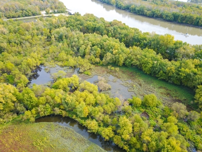 Browning IL Waterfowl Hunting Farm Land For Sale at Auction - image 21