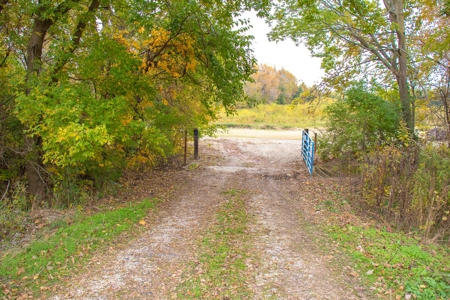 Browning IL Waterfowl Hunting Farm Land For Sale at Auction - image 10