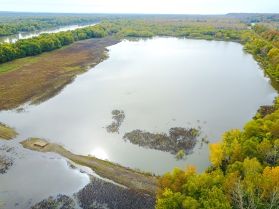 Browning IL Waterfowl Hunting Farm Land For Sale at Auction - image 20