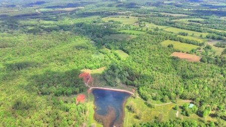 Hunter’S Paradise In The Heart Of The Ozarks - image 12