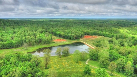 Hunter’S Paradise In The Heart Of The Ozarks - image 15