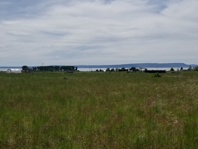 1.89 Acres w/Electricity/Phone/Well/Paved Rd/Northern CA - image 6