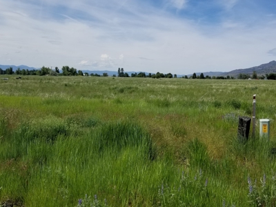 1.89 Acres w/Electricity/Phone/Well/Paved Rd/Northern CA - image 10