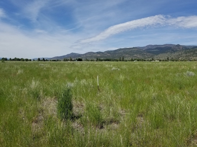 1.89 Acres w/Electricity/Phone/Well/Paved Rd/Northern CA - image 2