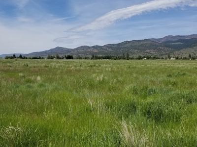 1.89 Acres w/Electricity/Phone/Well/Paved Rd/Northern CA - image 9