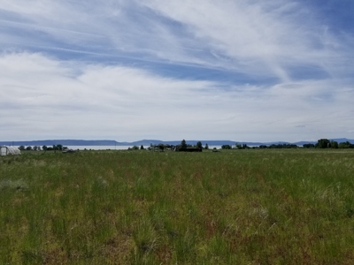 1.89 Acres w/Electricity/Phone/Well/Paved Rd/Northern CA - image 3