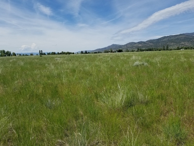 1.89 Acres w/Electricity/Phone/Well/Paved Rd/Northern CA - image 15