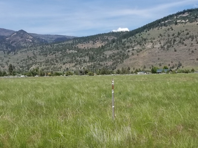 1.89 Acres w/Electricity/Phone/Well/Paved Rd/Northern CA - image 4