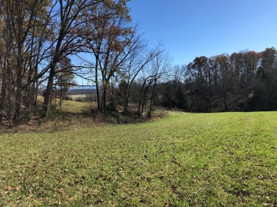 Historical Home For Sale on 37 Acres in Blountville, TN - image 45