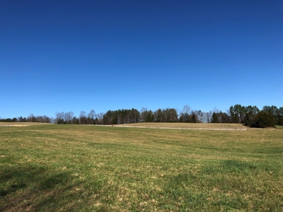 Historical Home For Sale on 37 Acres in Blountville, TN - image 31