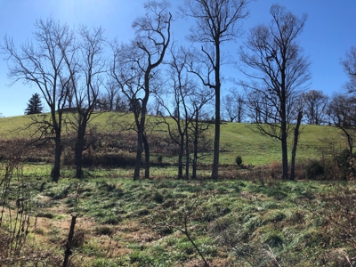 Historical Home For Sale on 37 Acres in Blountville, TN - image 35