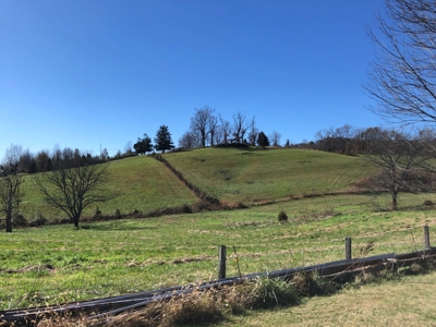 Historical Home For Sale on 37 Acres in Blountville, TN - image 34