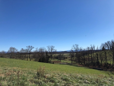 Historical Home For Sale on 37 Acres in Blountville, TN - image 39