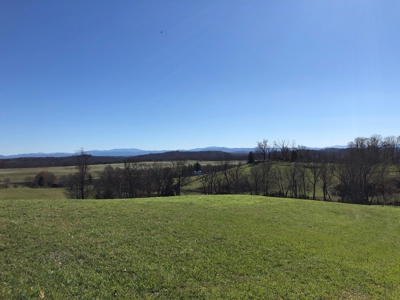 Historical Home For Sale on 37 Acres in Blountville, TN - image 42