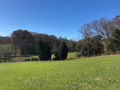 Historical Home For Sale on 37 Acres in Blountville, TN - image 43