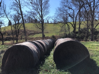 Historical Home For Sale on 37 Acres in Blountville, TN - image 36
