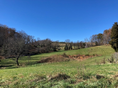 Historical Home For Sale on 37 Acres in Blountville, TN - image 38