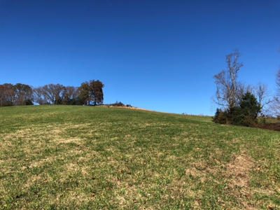 Historical Home For Sale on 37 Acres in Blountville, TN - image 37