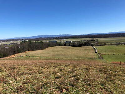 Historical Home For Sale on 37 Acres in Blountville, TN - image 44