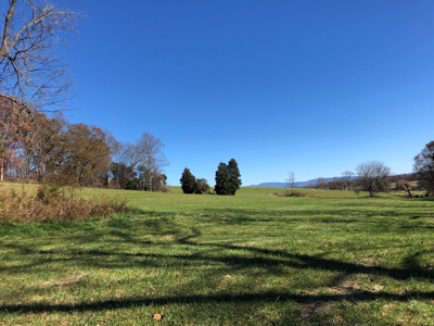Historical Home For Sale on 37 Acres in Blountville, TN - image 47