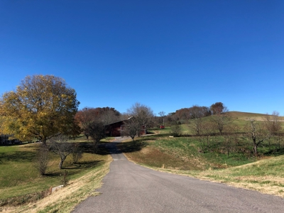 Historical Home For Sale on 37 Acres in Blountville, TN - image 4