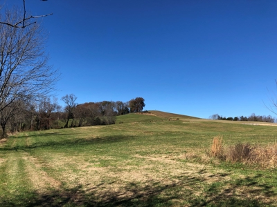 Historical Home For Sale on 37 Acres in Blountville, TN - image 33