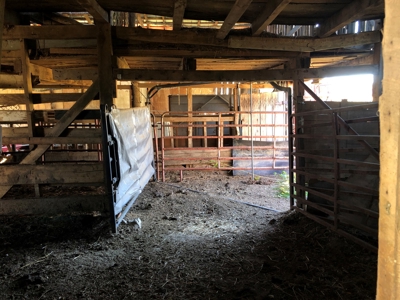 Historical Home For Sale on 37 Acres in Blountville, TN - image 28