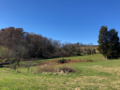 Historical Home For Sale on 37 Acres in Blountville, TN - image 41