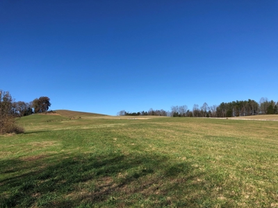 Historical Home For Sale on 37 Acres in Blountville, TN - image 30