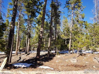 Quit Camping or Building Lot - image 1