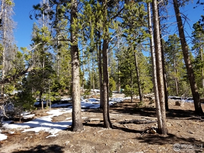 Quit Camping or Building Lot - image 3
