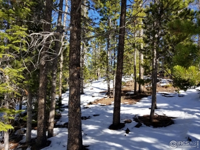 Quit Camping or Building Lot - image 2