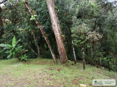 In Altos Del Maria Panama - image 10
