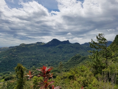 In Altos Del Maria Panama - image 21