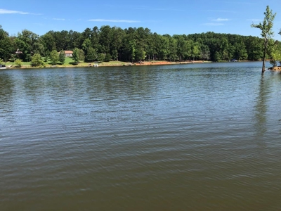 Enchanting Escape At Westview on Kerr Lake, VA - image 3
