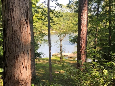 Enchanting Escape At Westview on Kerr Lake, VA - image 4