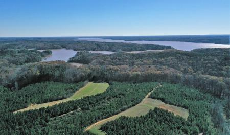 Lakefront Tract On Kerr Lake, VA - image 3