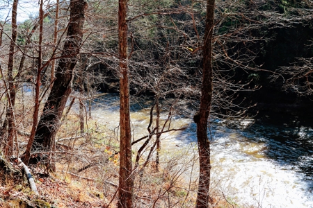 Waterfront Land for Sale in Carroll County VA - image 5