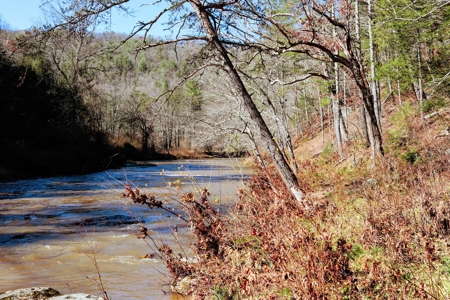 Waterfront Land for Sale in Carroll County VA - image 4