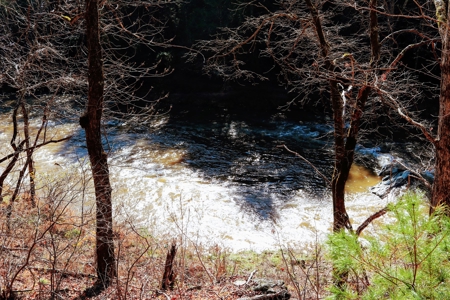 Waterfront Land for Sale in Carroll County VA - image 6