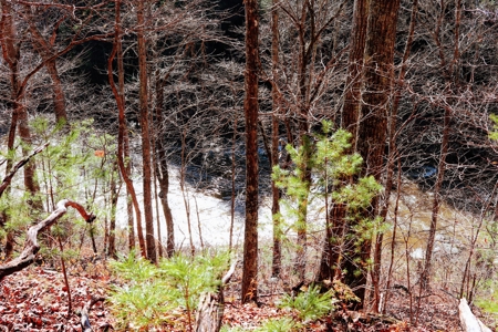 Waterfront Land for Sale in Carroll County VA - image 9