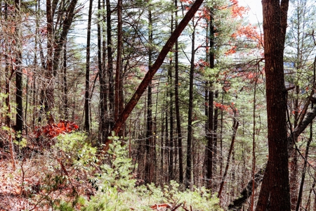Waterfront Land for Sale in Carroll County VA - image 13