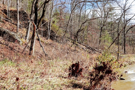 Waterfront Land for Sale in Carroll County VA - image 7